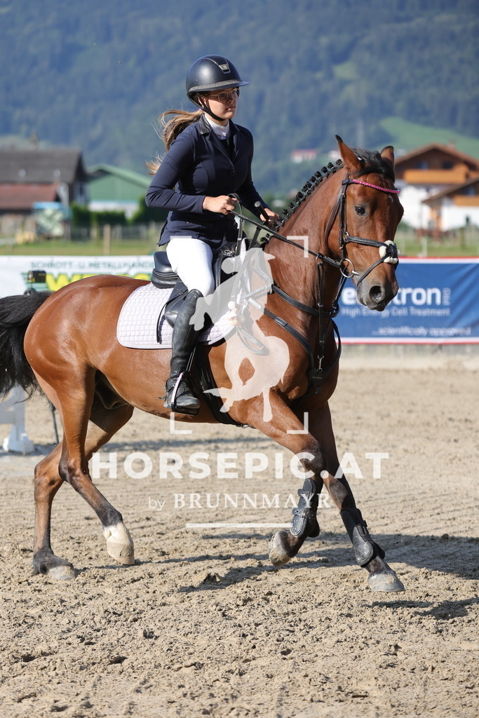 0P6A3564 | Willkommen bei Brunnmayr - Design & Fotografie – Ihrem Spezialisten für Reitturniere und Pferdeveranstaltungen in Oberösterreich, Salzburg und Bayern! Seit über 17 Jahren sind wir leidenschaftlich dabei.