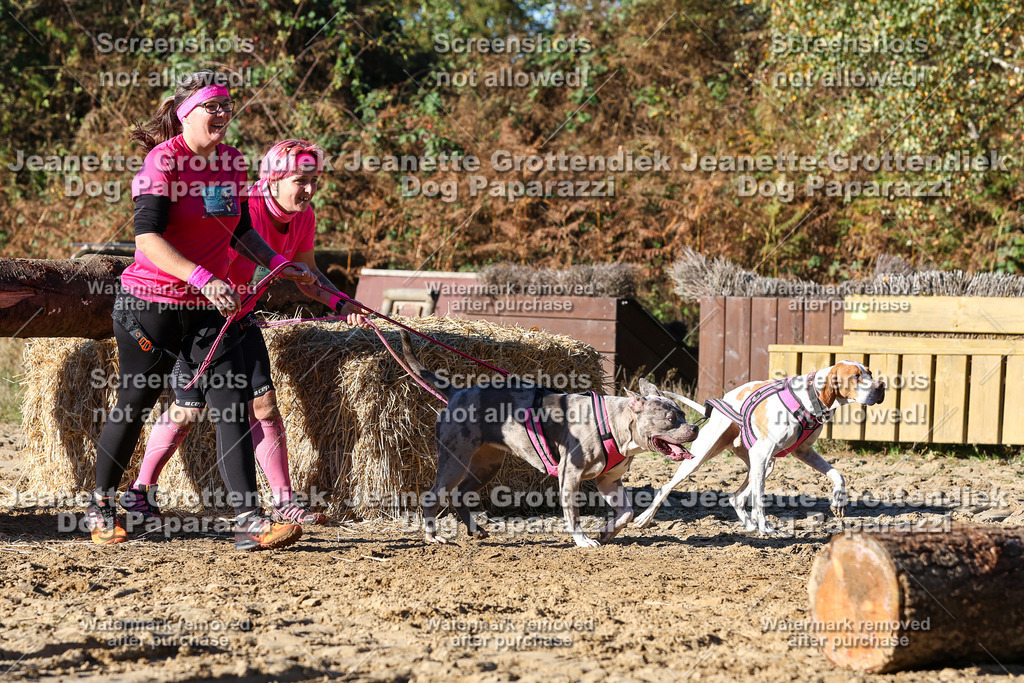 Dog Paparazzi - Strongdog 10-25-1953 | Dog Paparazzi Jeanette Grottendiek Fotografie & Videografie - Realisiert mit Pictrs.com