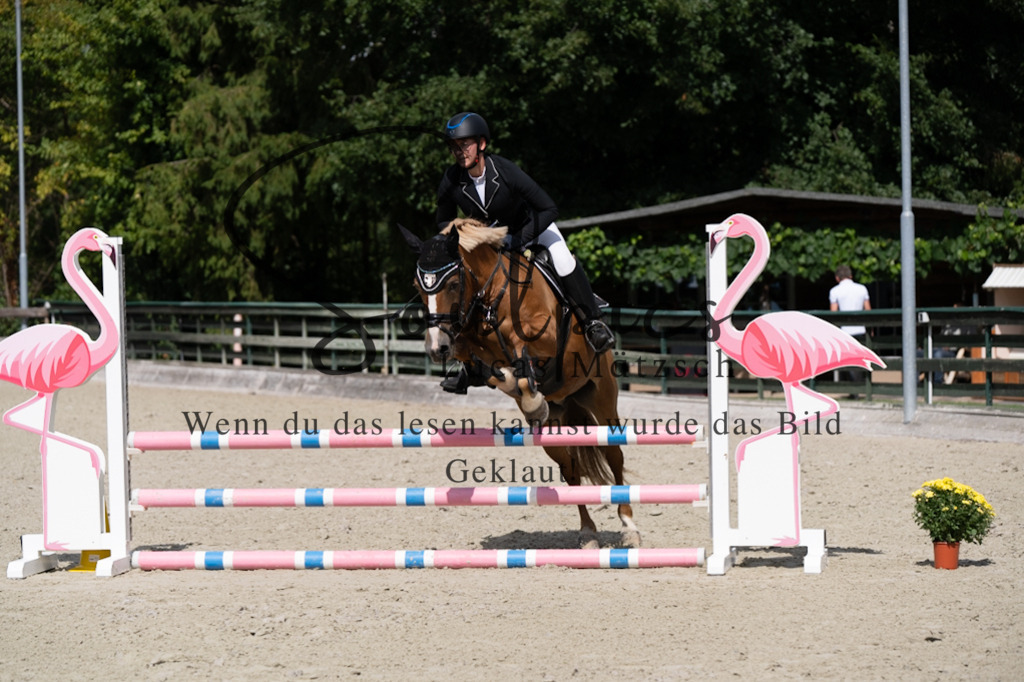 A7V07414 | Turnier/Reitfotograf
