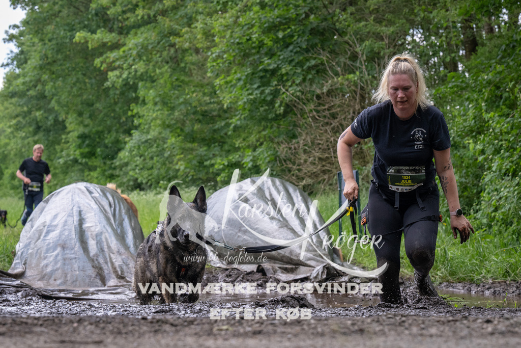 1247_ZZ93512 | kk-dogfotos