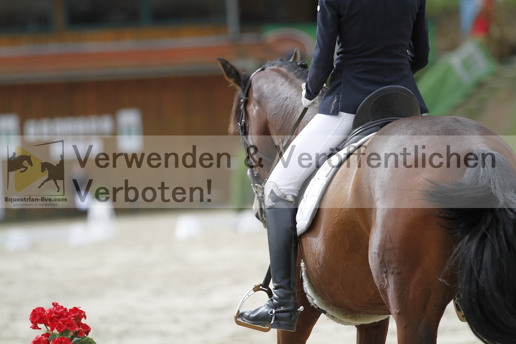 _MG_4333 | equestrian-live-com