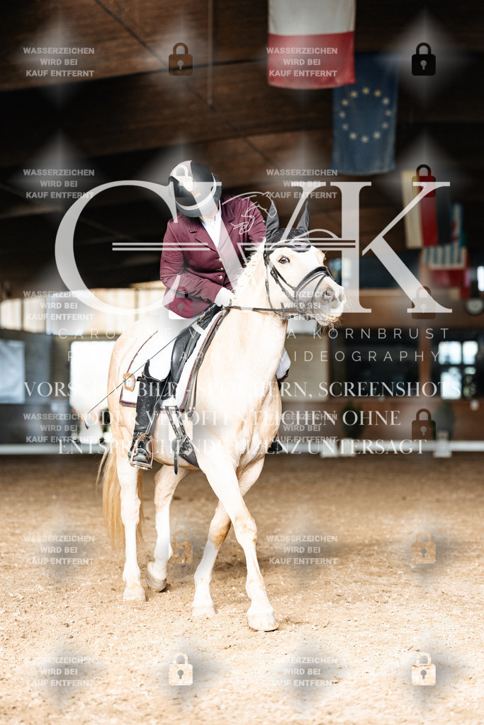 CK902679 | Turnierfotografie Pferdefotografie Trier Rheinland-Pfalz Pferdesport Reitsport Tierfotografie Sportfotografie Pferdevideo Pferdevideografie Equestrianvideography equestrianphotography  - Realisiert mit Pictrs.com