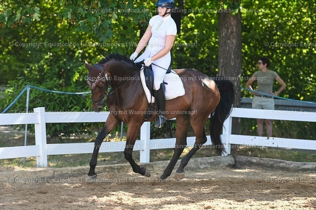 20230715_06_Dressurpferdeprfg. Kl.A_0290 | equistock