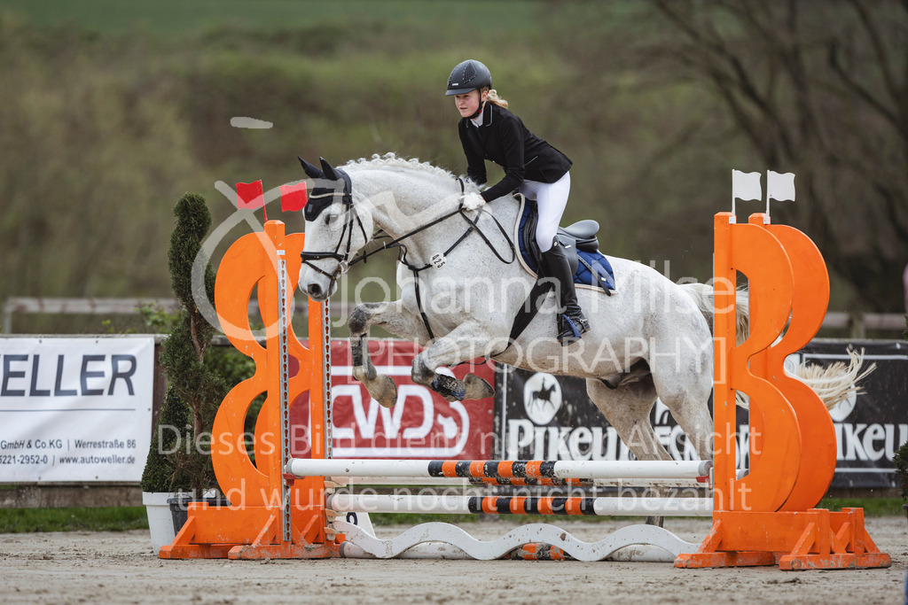 240330_Fruehlingsfest_Stilspring-WB-518 | Deine schönsten Turniermomente als professionelle Fotos! Entdecke hochwertige Pferdesport-Fotografie im Online-Shop. Jetzt Fotos finden & bestellen!