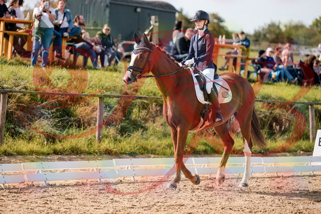 2026_10_03_Siefer-Hof_123242_Z63_52579088 | Professionelle Reitsport-, Turnier- und Eventfotografie von Robert Broda. Galerien mit ausgewählten und bearbeiteten Bildern direkt online ansehen und bestellen.