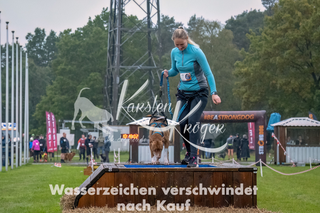 1019--2 | kk-dogfotos