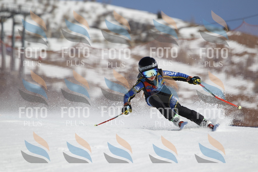 _U3G9577 | holidayphoto