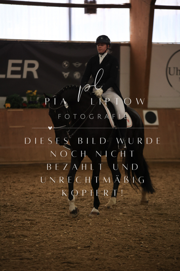 IMGT5829 | pl-fotografie