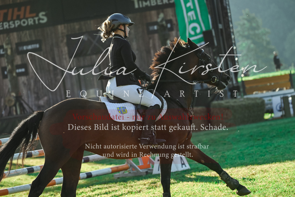 DSC_4288 | Pferde- und Turnierfotografie in Westsachsen. Pferdeportraits, Auftragszeichnungen und intuitive Kunst.