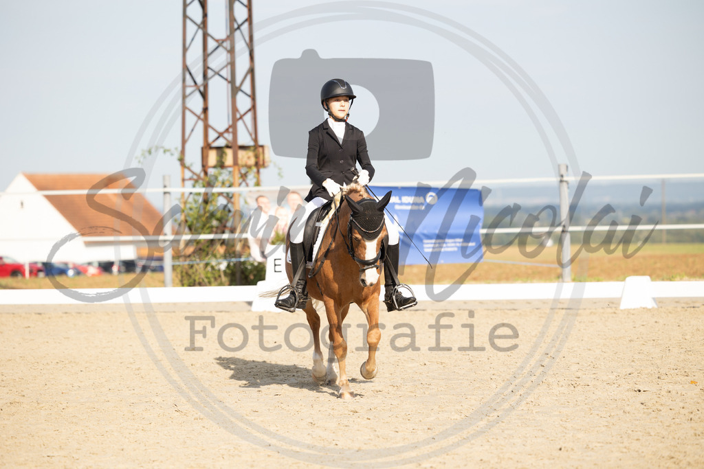 994A1256 | sabrinanicolaifotografie - Realisiert mit Pictrs.com