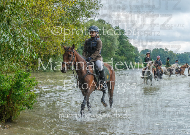 Jagd Perdoel_MarinaHewigDSCF3669 | Fotografie, FotoArt, PferdesportArt, Pferdesportfotografie, Landschaftsfotografie, Reisefotografie, Reise, Pferde - Realisiert mit Pictrs.com