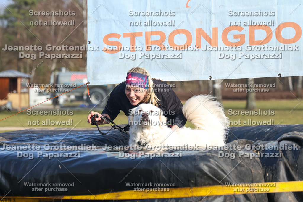Dog Paparazzi - Strongdog North Mrz26-3215 | Dog Paparazzi Jeanette Grottendiek Fotografie & Videografie - Realisiert mit Pictrs.com