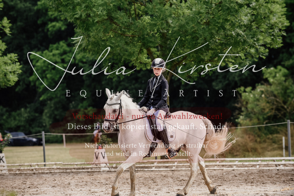 DSC_9456 | Pferde- und Turnierfotografie in Westsachsen. Pferdeportraits, Auftragszeichnungen und intuitive Kunst.