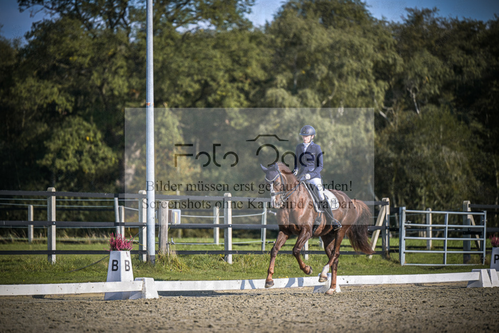 DOS_B795 | Entdecke hochwertige Reitturnierfotos von Foto Oger. Professionell, emotional und authentisch – jetzt Lieblingsmomente im Shop bestellen.Deutschlandweite Turnierfotografie. - Realisiert mit Pictrs.com