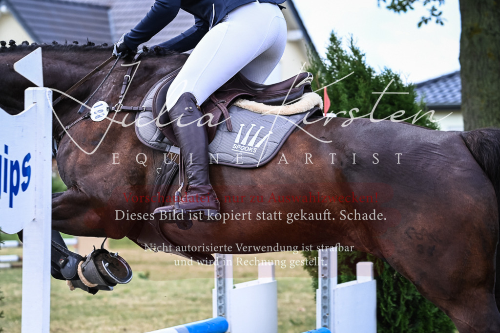 DSC_8130 | Pferde- und Turnierfotografie in Westsachsen. Pferdeportraits, Auftragszeichnungen und intuitive Kunst.