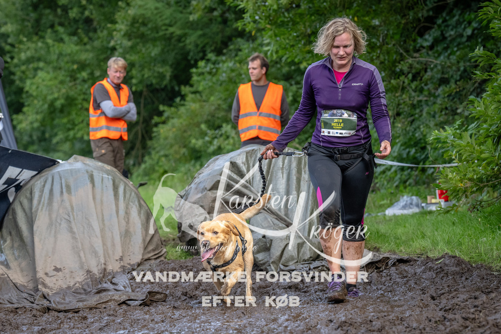 1734_ZZ92721 | kk-dogfotos