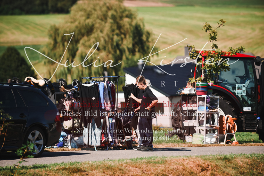 DSC_2672 | Pferde- und Turnierfotografie in Westsachsen. Pferdeportraits, Auftragszeichnungen und intuitive Kunst.