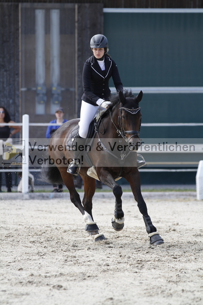 _MG_3366 | equestrian-live-com