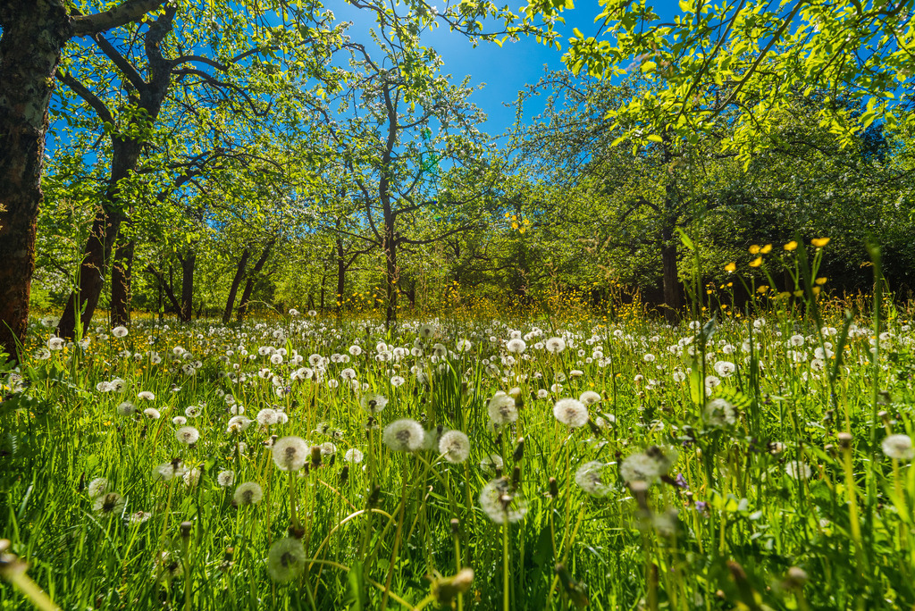 mühlsteintour_250426-2 | <div id="allefotografen-seal-verified-green"></div><script src="https://www.allefotografen.de/956728/seal-verified-green/seal.js" async="async"></script> - Realisiert mit Pictrs.com