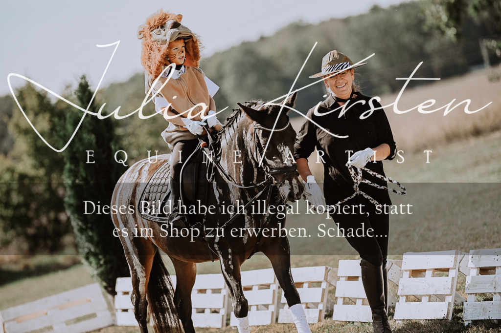 DSC_9160 | Pferde- und Turnierfotografie in Westsachsen. Pferdeportraits, Auftragszeichnungen und intuitive Kunst.