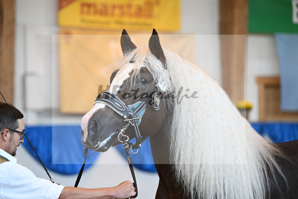 Kat-Nr. 97 Verry_Woerndl_53220638 | hf-fotografie - Realisiert mit Pictrs.com