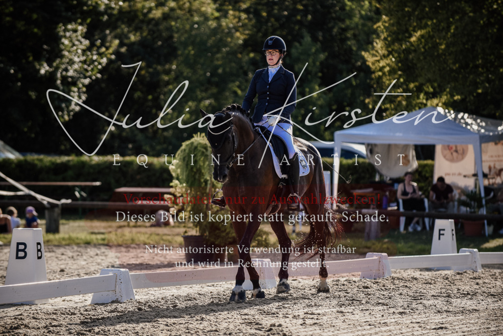 DSC_0553 | Pferde- und Turnierfotografie in Westsachsen. Pferdeportraits, Auftragszeichnungen und intuitive Kunst.