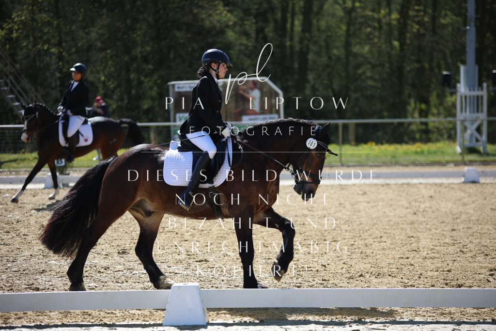 IMGT0382 | pl-fotografie