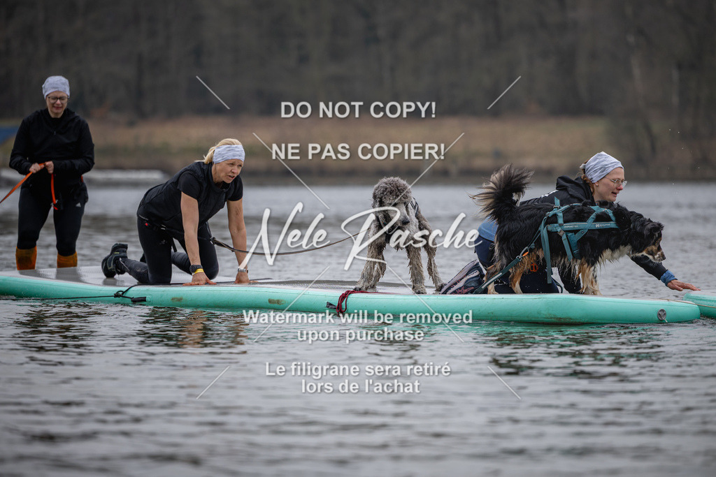 nelerasche_Hulsbeek_Sa1430-1515_193 | nelerasche