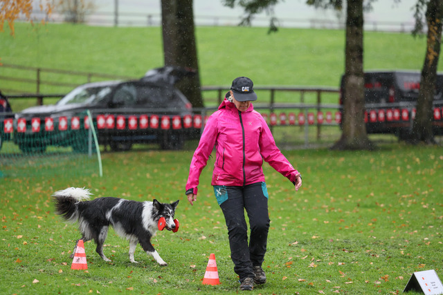 2025_Rally_Obedience_SM-135 | Ich fotografiere Hundeausstellungen, Sportanlässe, Zuchtstätten, Hundezucht, Hundeportrait, Lagotto - Realisiert mit Pictrs.com