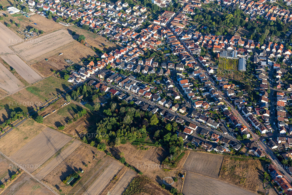 Luftbild: Brahmstraße im Ortsteil Iggelheim in Böhl-Iggelheim im Bundesland Rheinland-Pfalz in Deutschland. – Foto: IMG_133899.jpg vom 21.08.2022 durch Werner Riehm/FLY-FOTO.de – Auflösung des Originals: 5472 x 3648 px – deGemeinde Böhl-Iggelheim