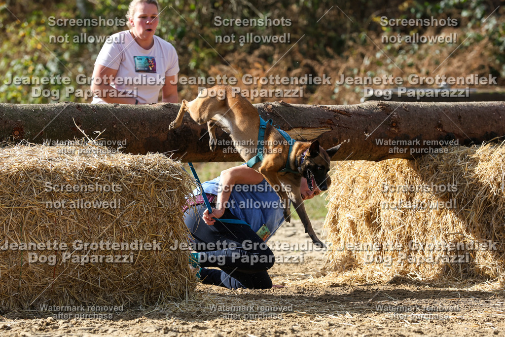 Dog Paparazzi - Strongdog 10-25-5459 | Dog Paparazzi Jeanette Grottendiek Fotografie & Videografie - Realisiert mit Pictrs.com