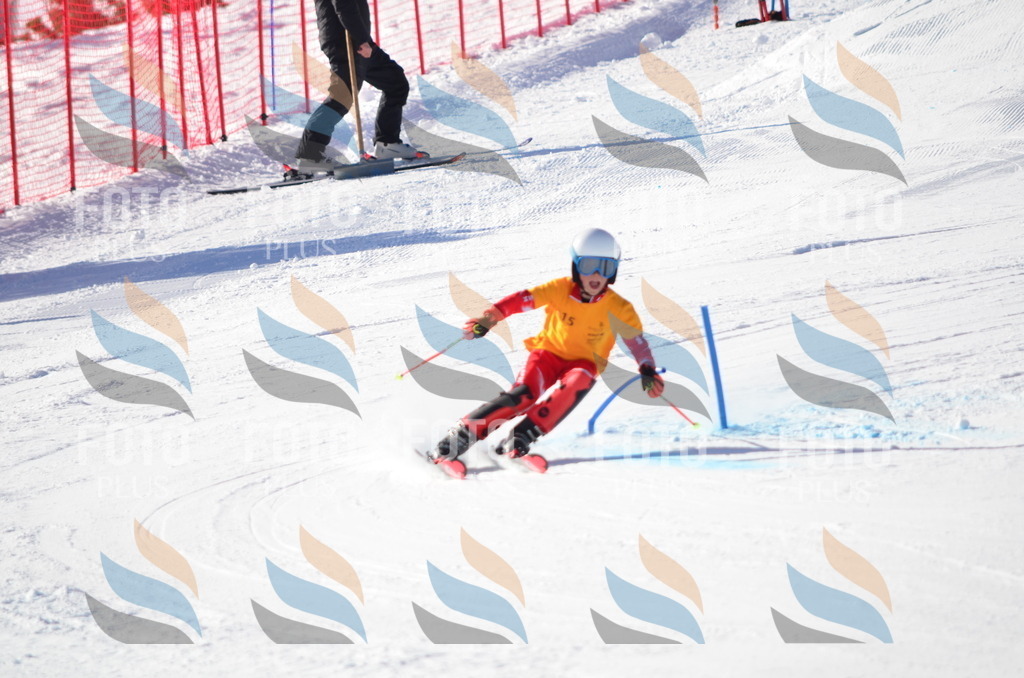 C6305 | holidayphoto