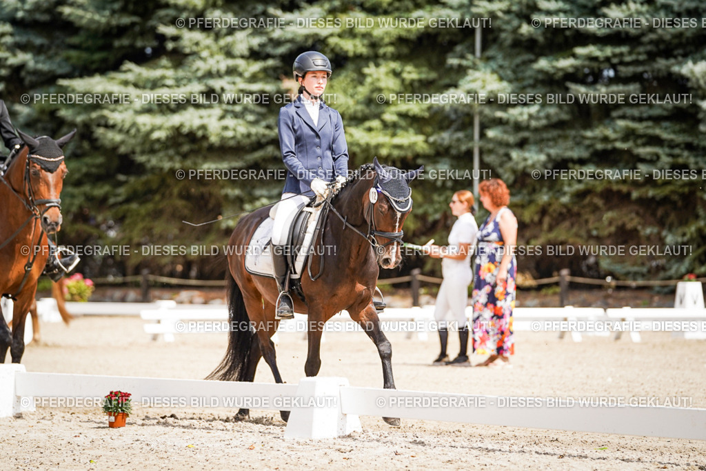 DSC02496 | Pferdegrafie