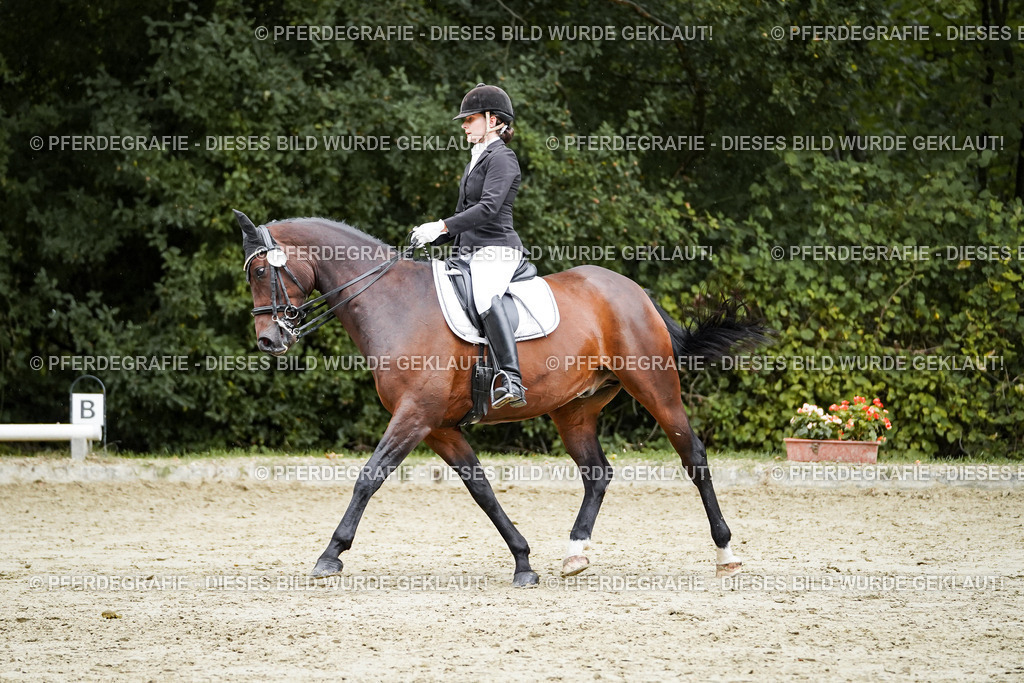 DSC00512 | Pferdegrafie