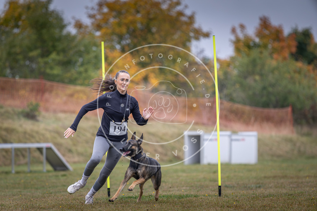 Pfotenfotografie_DV3A0975 | Hundefotografie, Tierfotograf, Pfotenfotografie, Fotoshooting Hund, Hunde Portrait, Hundesport, Hundeportraits, Heideshooting, Hunde, Sportfotograf, Hundefotograf, Turnierhundsport, THS,  - Realisiert mit Pictrs.com