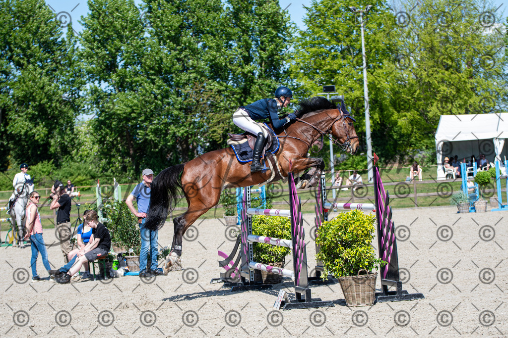 KPT_1444 | andre_photographic