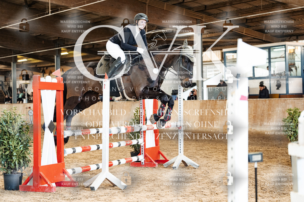 CK904959 | Turnierfotografie Pferdefotografie Trier Rheinland-Pfalz Pferdesport Reitsport Tierfotografie Sportfotografie Pferdevideo Pferdevideografie Equestrianvideography equestrianphotography  - Realized with Pictrs.com