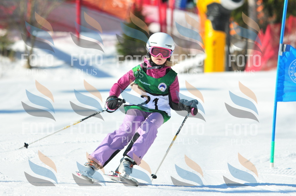 C2527 | holidayphoto