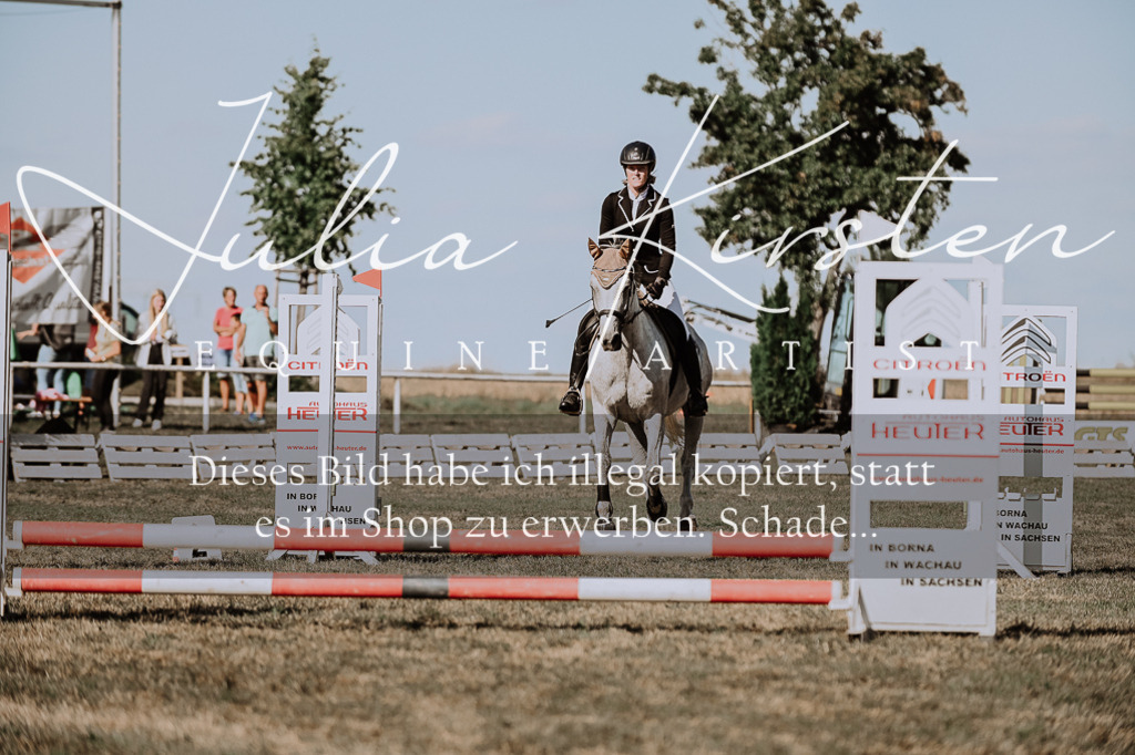 DSC_9502 | Pferde- und Turnierfotografie in Westsachsen. Pferdeportraits, Auftragszeichnungen und intuitive Kunst.
