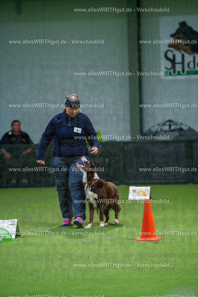 7R500074 | Professionelle Tierfotografie in Mönchengladbach von Daniel Wirth (allesWIRTHgut). Liebevolle & natürliche Bilder von Hunden & Katzen für unvergessliche Erinnerungen.