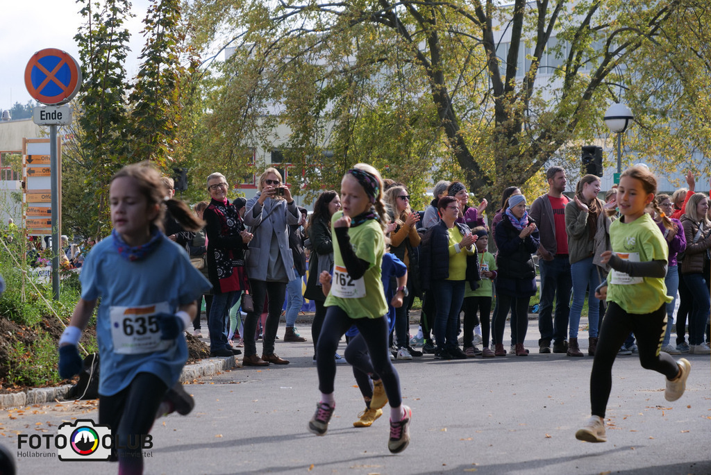 P1017528 | Foto Buchgraber