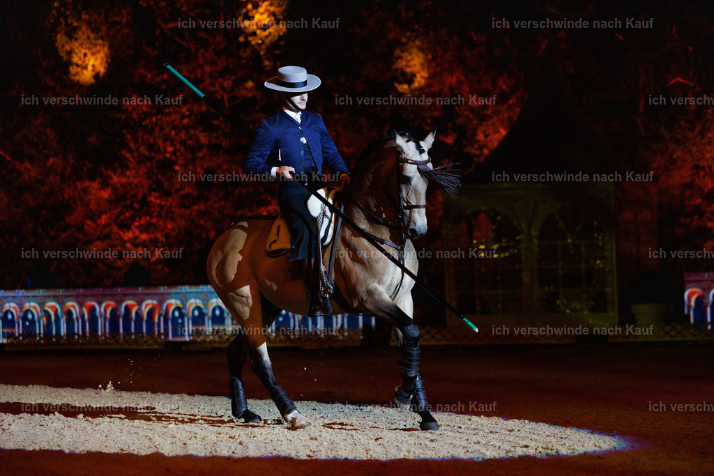 FHClassics-173 | working equitationturnier fotograf videograf stoibphotography marixx film working equitation deutschland reitsport turnierfotografie eventfotografie equestrian events