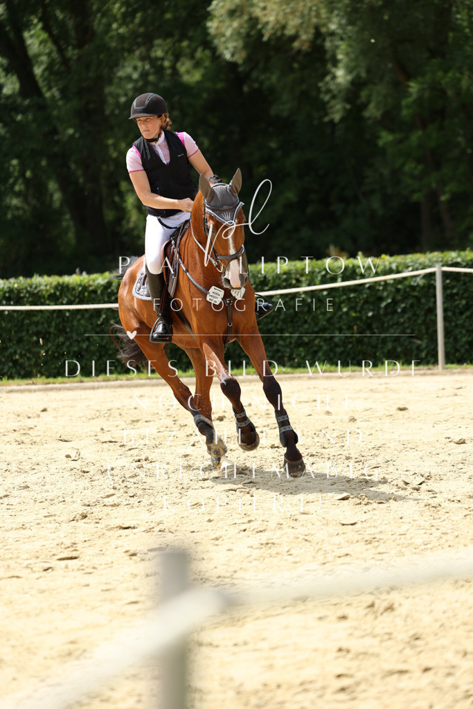 IMGM5054 | pl-fotografie