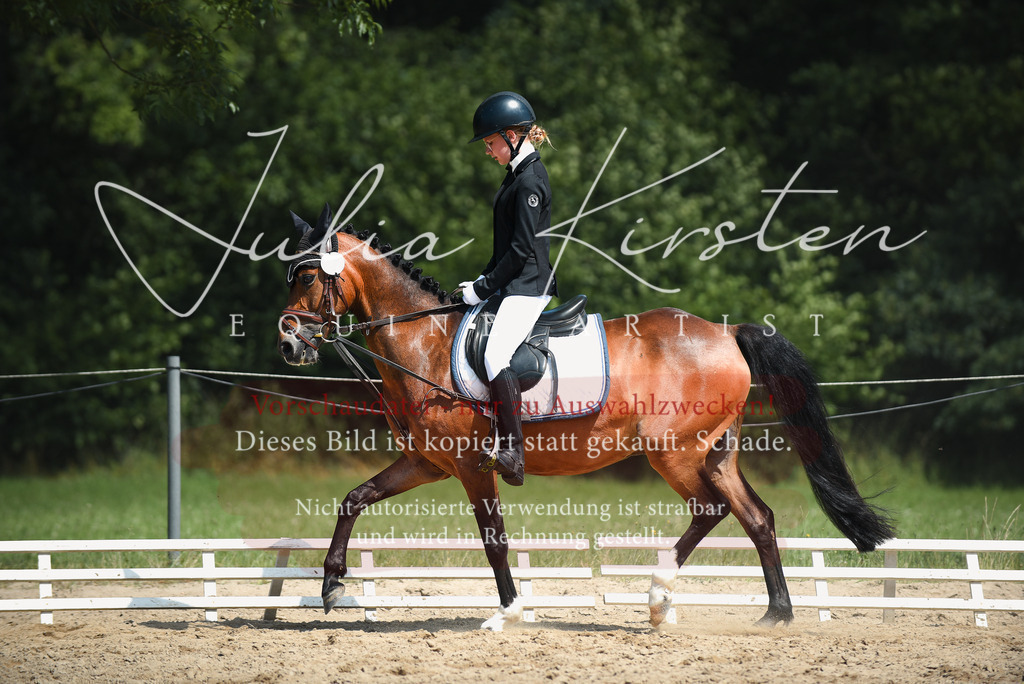 DSC_2492 | Pferde- und Turnierfotografie in Westsachsen. Pferdeportraits, Auftragszeichnungen und intuitive Kunst.