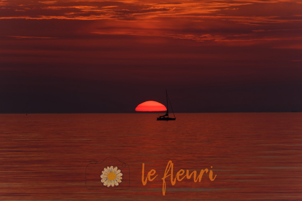 DSC_0275-NEF_DxO_DeepPRIME-2 | Dies ist der Shop von Florian Blum - le fleuri. Langenthal, Bern, Schweiz. Sie können hier meine oder ihre eigenen Fotos als Fotoprodukte kaufen. Tassen, Schlüsselanhänger, Taschen etc. können Sie hier gestalten.  - Realisiert mit Pictrs.com