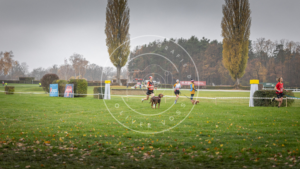 CaniXpix_DV3A8888 | Hundefotografie, Tierfotograf, Pfotenfotografie, Fotoshooting Hund, Hunde Portrait, Hundesport, Hundeportraits, Heideshooting, Hunde, Sportfotograf, Hundefotograf, Turnierhundsport, THS,  - Realisiert mit Pictrs.com