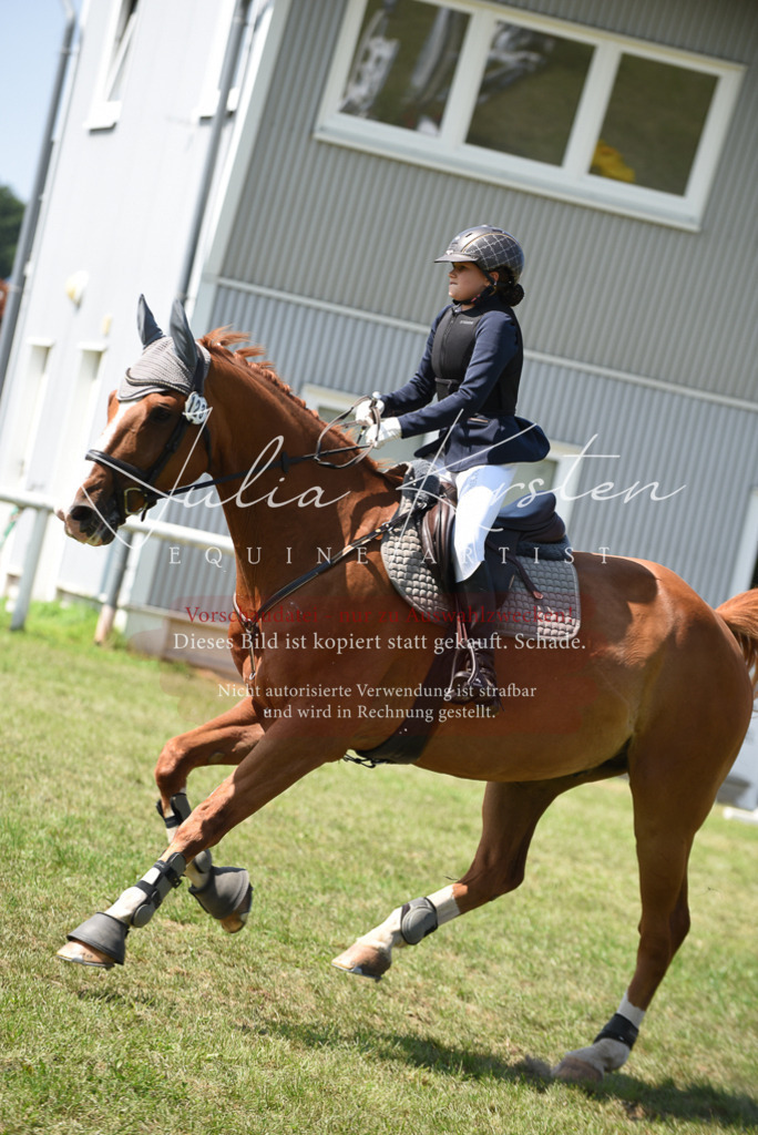 DSC_0090 | Pferde- und Turnierfotografie in Westsachsen. Pferdeportraits, Auftragszeichnungen und intuitive Kunst.