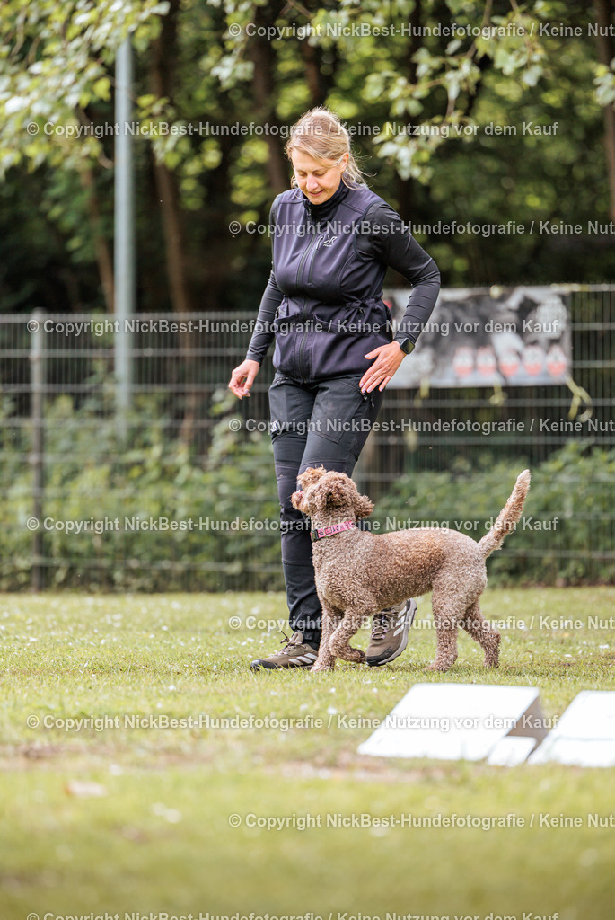 RO-Blumenthal-2026-Nickbest-Hundefotografie-2039 | Dein Hund! Dein Moment! Deine Erinnerungen! Hundefotografie in Bremen Blumenthal. Ich fange die besonderen Momente deines Vierbeiners ein – ob Indoor mit Blitzanlage oder in der freien Natur. Sicher dir dein Moment und dein Termin für eure Erinnerungen.