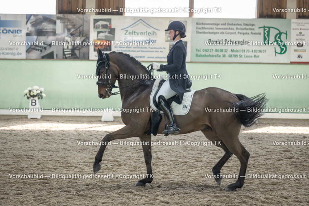 _D5A9921 | Emotionale Pferde- & People-Fotografie rund um Heidelberg, Leimen & Umgebung. Natürliche Fotos von Pferd, Mensch & Familie. Jetzt Termin sichern!