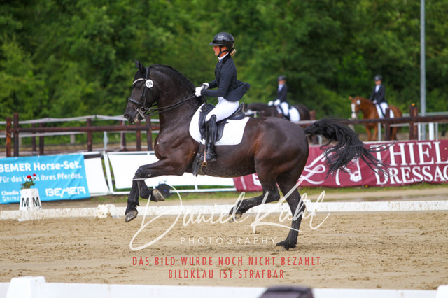 DKP40832 | Turniersportfotografie; Pferdefotografie; Dressurfotografie